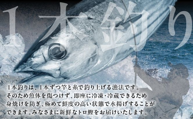 kgp0014 トロ鰹たたき 1.2kg 備長炭仕上げ