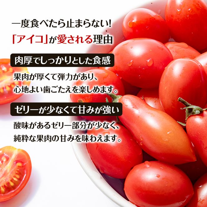 8月発送開始[2026年発送] 超完熟ミニトマト【 アイコ 】2kg（1kg×2箱）栽培期間中 農薬・除草剤不使用 サイズ混載 トマト ミニトマト 野菜 北海道 仁木町 [アイコファーム] 