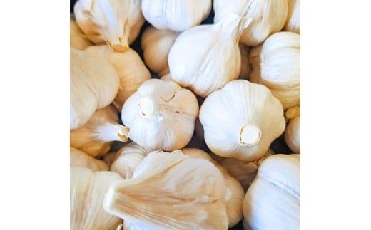 植田ファームの自然乾燥平戸にんにく700g 〈2026年6月10日～2026年10月31日〉700グラム ニンニク ガーリック おつまみ お酒 料理 醤油漬け ガーリックオイル ペペロンチーノ パスタ スパゲッティ 高知県 土佐市【株式会社植田ファーム】[BQAT004]