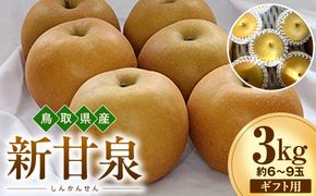 【2026年度先行予約】数量限定　鳥取県産　新甘泉 ギフト用　秀品 3kg(約6〜9玉)【8月20日以降発送】 313726_DE003