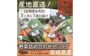 【定期便全4回】3ヶ月に1度お届け！岩沼みんなの家の「みんなの直売！野菜」セット詰め合わせ隔月4回 詰合せ 
