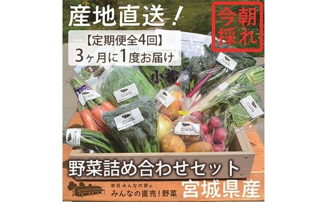 【定期便全4回】3ヶ月に1度お届け！岩沼みんなの家の「みんなの直売！野菜」セット詰め合わせ隔月4回 詰合せ 