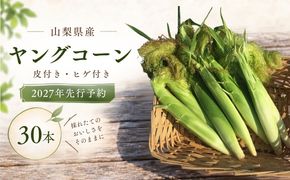 【ふるさと納税】	【2027年 先行予約】もぎたて発送！山梨県産 ヤングコーン 30本【栄養たっぷりヒゲ付き！】｜朝採れ もぎたて発送 ヒゲ付き 甘い 国産 とうもろこし トウモロコシ 野菜 産地直送 送料無料【炭香ファーム】FC004