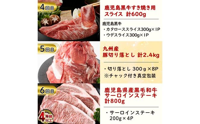 【定期便・全6回】お肉のお楽しみ定期便 総量9.8kg!  t0119-002