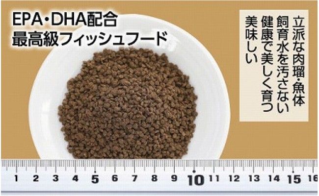 KGC002　らんちう貴族D 200g 成魚用