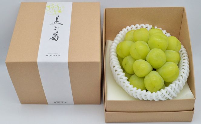 ぶどう 2026年 先行予約 雄宝 1房 約1.0kg  数量限定 ブドウ 葡萄 岡山 国産 フルーツ 果物 