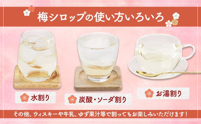 梅みやび（梅シロップ）500ml×2本セット 