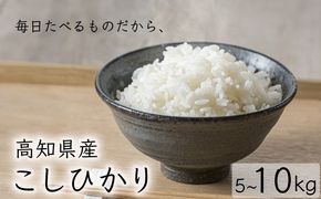 令和7年産 コシヒカリ 選べる 5kg 10kg お米 白米 精米 新米 数量限定 スピード発送 ごはん ご飯 高知県産 弁当 こしひかり おにぎり 料理 令和7年 R7年 美味しい 美味 うまい 甘み ツヤ 粒立ち 冷めても美味しい 土佐 自然豊か 温暖 清らかな水 山 丹精込めて育てた 食卓 家庭 贈り物 ギフト プレゼント 炊飯 おかず 和食 日本食 郷土料理 安芸市 高知県