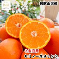 セミノールオレンジ（ご家庭用） 5kg+200g(補償分)｜ 柑橘 フルーツ 果物 くだもの 食品 人気 おすすめ 選べる 国産 美浜町