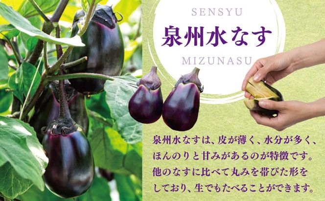 099H4539 【先行予約】朝採り直送 徳用水なす 15個 訳あり 規格外