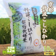 【12カ月定期便】令和7年産 京都丹波産 こしひかり 10kg 合計120kg