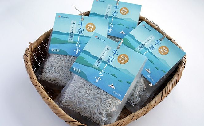 しらす干し 食べきり 小分けパック （35g×3袋入）×4個 420g 瀬戸内海産 【しらす しらす干し 釜揚げ 太白ちりめん ちりめんじゃこ 牛窓しらす しらす丼 ごはん ごはんのお供 食べ切り 小分け ギフト 贈答 岡山県 瀬戸内市 牛窓 服部水産】 [№5735-2035]