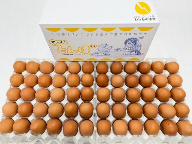 【オーイ！とんぼ×松田養鶏場コラボパッケージ】産地直送  松田養鶏場のひょうごの赤たまご60個（50個+割れ補償10個）