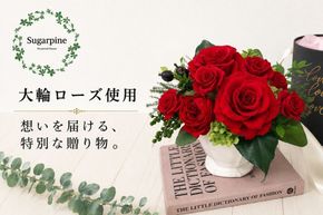 プリザーブドフラワー【プリエール】【埼玉県 春日部市 シュガーパイン 大輪ローズ 赤バラ アレンジメント エレガント インテリア 誕生日 記念日 プレゼント】(AJ010-2)