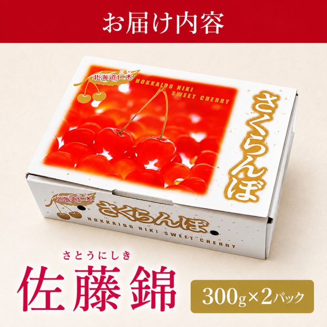 2027年発送 北海道 仁木町産 さくらんぼ 佐藤錦 300g×2P Lサイズ   サクランボ チェリー フルーツ 果物 果物類 仁木町 仁木 [林果樹園]