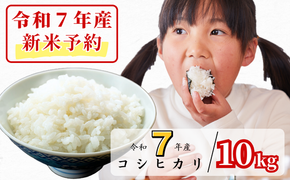 《令和7年産新米予約・10月ごろよりお届け開始》白米 10kg 令和7年産 コシヒカリ 岡山 あわくら源流米 K-ag-AECA