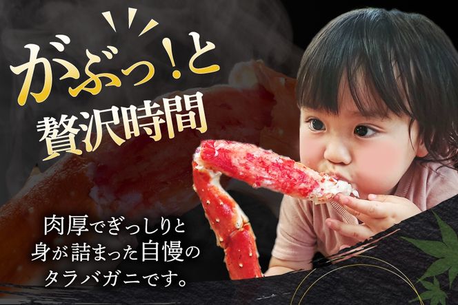 本 タラバガニ 脚 ボイル済 約1.5kg 極太7Lサイズ [カネダイ 宮城県 気仙沼市 20564326] カニ かに 蟹 たらばがに たらば蟹 タラバ蟹 たらば タラバ ボイル