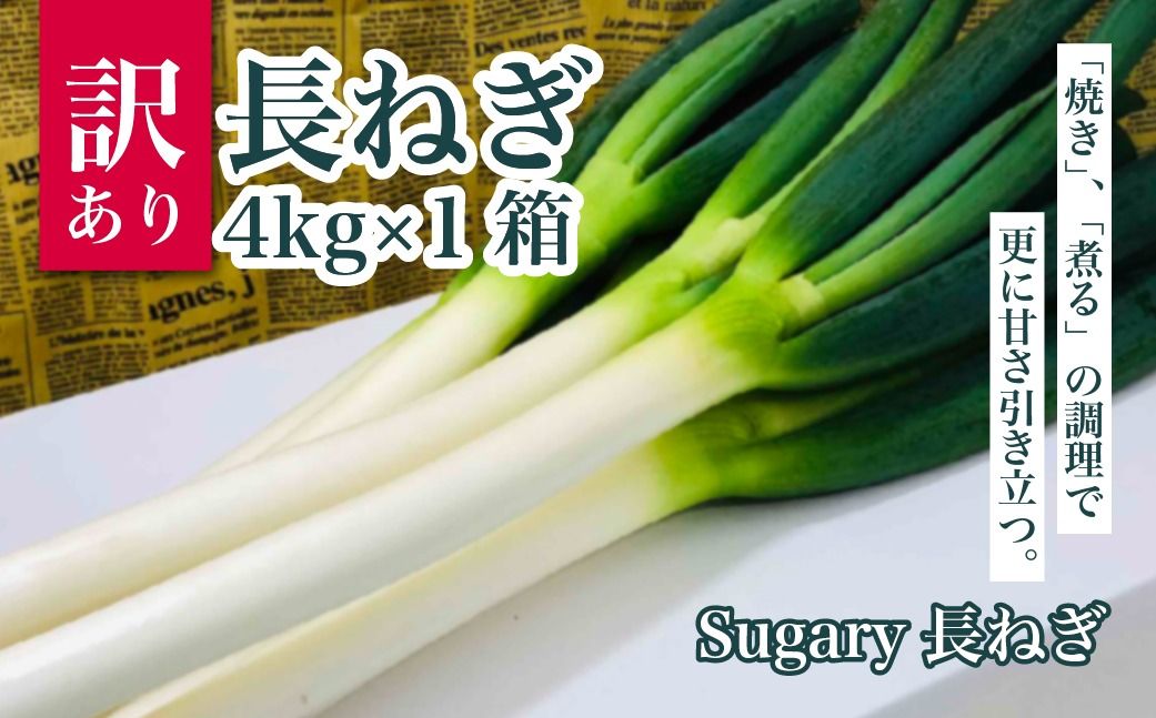 Sugary長ねぎ(訳あり品)4kg×1箱