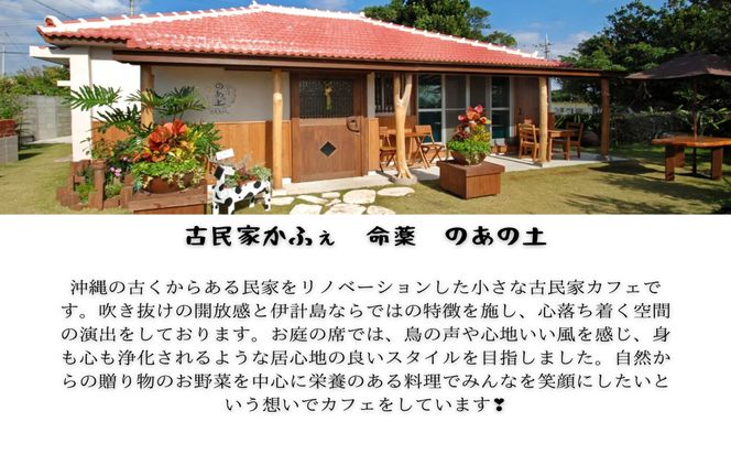 【ぬちぐすいvegan】島野菜＆薬草クッキー5種類詰め合わせ