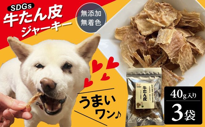 愛犬のおやつ 牛たん皮 40ｇ×3個入り 無添加 無着色 安心 国内生産 愛犬 おやつ ワンちゃん わんこ 喜ぶ ジャーキー SDGｓ H160-010