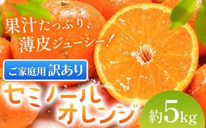 オレンジ 訳あり ご家庭用 セミノールオレンジ 約5kg 株式会社魚鶴商店《5月上旬-5月下旬頃出荷予定》 和歌山県 日高川町 柑橘 フルーツ---wshg_uot232_5j5g_26_12000_5kg---