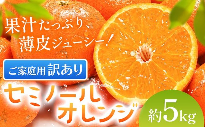 オレンジ 訳あり ご家庭用 セミノールオレンジ 約5kg 株式会社魚鶴商店《5月上旬-5月下旬頃出荷予定》 和歌山県 日高川町 柑橘 フルーツ---wshg_uot232_5j5g_26_12000_5kg---