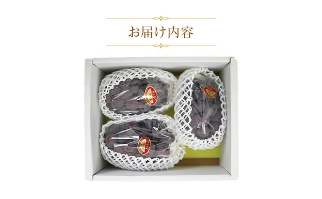 【天満屋選定品】岡山県産 ピオーネ 約1.5kg （2026年発送）