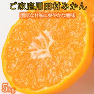 【先行予約】【ご家庭用訳あり】田村みかん ５ｋｇ◇｜ 有田 紀伊 ふるさと納税 ミカン 蜜柑 柑橘 果物 フルーツ 糖度 甘い 濃厚 コク ジューシー 先行予約 みかん 国産 産地直送 人気 美浜町