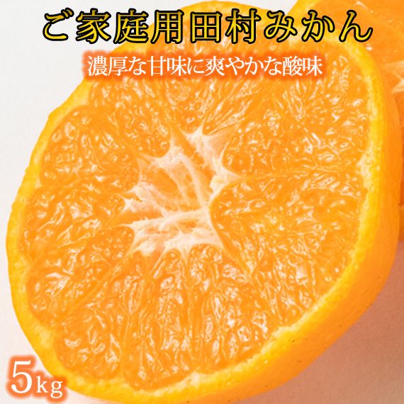 【先行予約】【ご家庭用訳あり】田村みかん ５ｋｇ◇｜ 有田 紀伊 ふるさと納税 ミカン 蜜柑 柑橘 果物 フルーツ 糖度 甘い 濃厚 コク ジューシー 先行予約 みかん 国産 産地直送 人気 美浜町