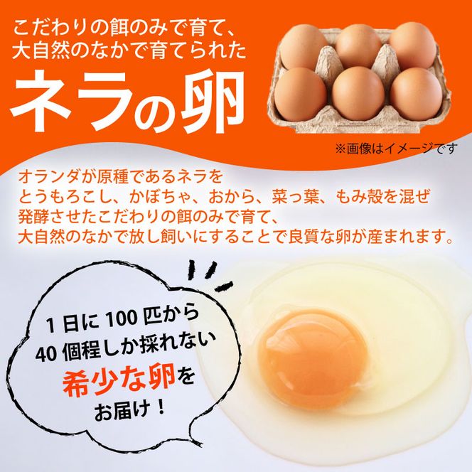 【毎月定期便】【産地直送】旬のお野菜詰め合わせ 京野菜セット8種類 平飼い卵 6個付き全12回