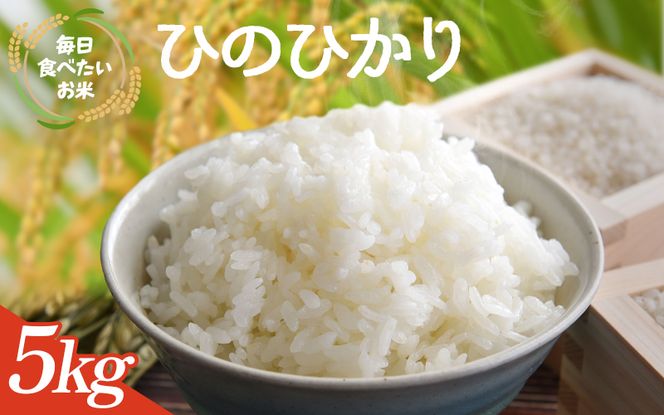 ya̎RI쒬zyʌzV a̎RY Ђ̂Ђ 5kg(2025NY) /  V R Yn    ͂ Ђ̂Ђ ɂ ٓ yagy040z