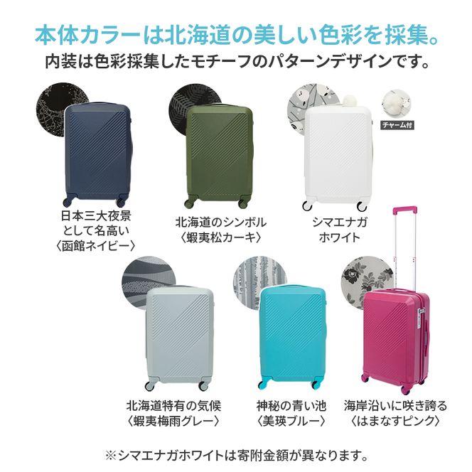 スーツケース 最短 7日以内配送 Brush 北海道 カラーパレット ハード 95L LARGE_5806477 蝦夷梅雨グレー キャリーケース 旅 キャリー かばん バッグ 国産 日本製 北海道 赤平市