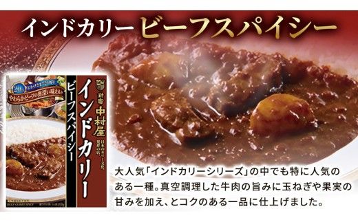 新宿 中村屋 インドカリー ビーフスパイシー 40個 レトルト レトルトカレー カレー 常温 温めるだけ 人気 洋食 時短 インドカレー スパイシーカレー 長期保存 災害用 保存食 レンチン レンジ [DM011us]