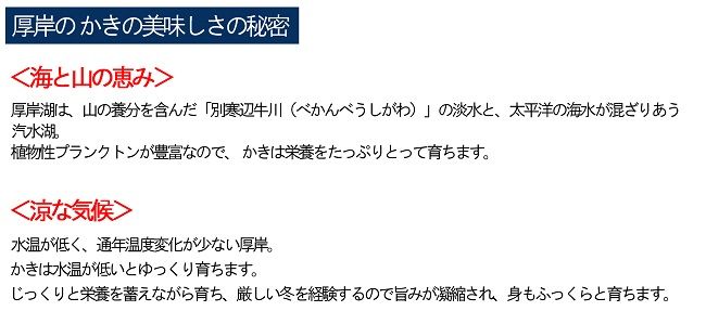 カキ 生食用 北海道 厚岸産 殻かき 新ブランド弁天かき A3サイズ  15個 牡蠣 魚貝類 生牡蠣 殻付き牡蠣 カキ