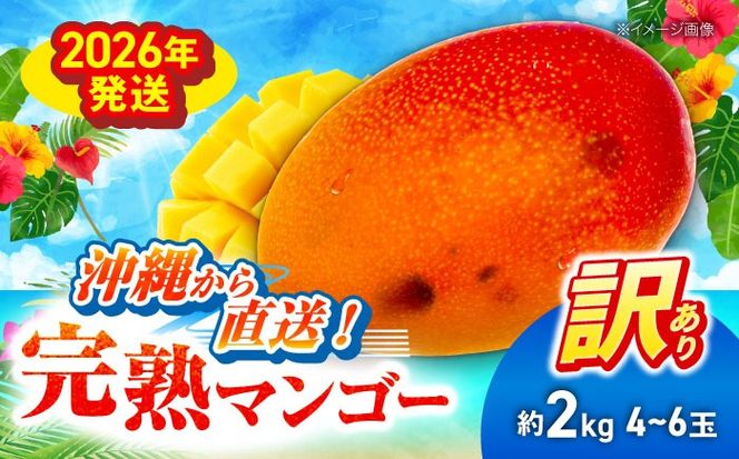 yꌧszys\ 2026N \tz 󂠂 n}S[ 2kg (4`6ʓ) }S[  ʕ t[c Mtg s / Ղ`s [BCAA002]