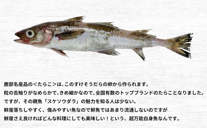 楽しみ方は10通り！メニューに困らない万能白身魚 北海道産 すけそうだら 5kg 冷凍 内臓処理済み 鮮魚
