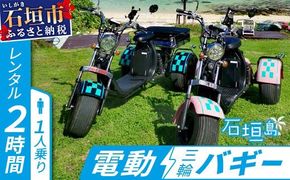 電動三輪バギーで行くレンタル2時間(1人乗り)【 沖縄 石垣島 レンタル バイク バギー トライク 車 】 RO-1