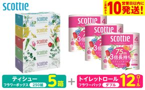 【スコッティ】 組み合わせ ティシュー フラワーボックス 250組 5箱 トイレットロール ダブル フラワーパック 3倍長持ち 12ロール ティッシュ トイレットペーパー 日用品 防災備蓄 ストック 備蓄 新生活 防災 消耗品 生活用品 日用消耗品 箱ティッシュ