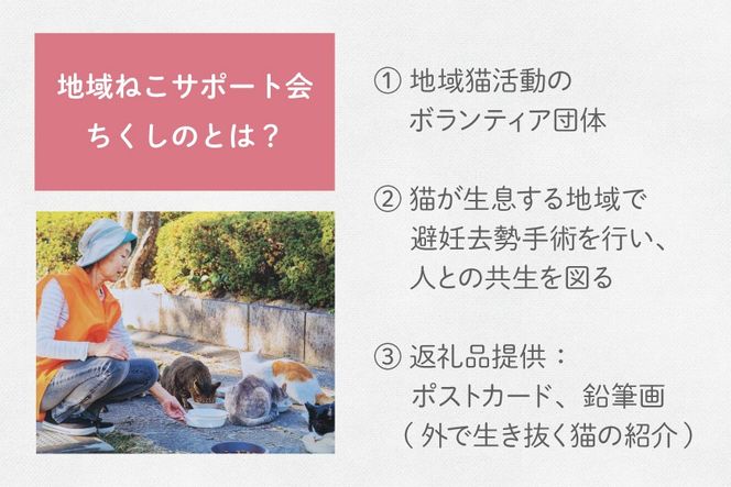 保護猫 支援 猫保護活動への支援 ポストカード 5枚 鉛筆画 1枚 [地域ねこサポート会ちくしの 福岡県 筑紫野市 21761524] 保護 動物 猫 応援 ネコ ねこ ペット動物愛護 愛護 保護活動 クリポス メール便 メール便対応