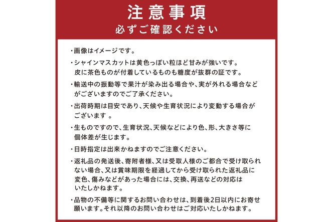 【先行予約／数量限定50】シャインマスカット 700g以上（1房入り）（2026年9月上旬～発送）　FK00016