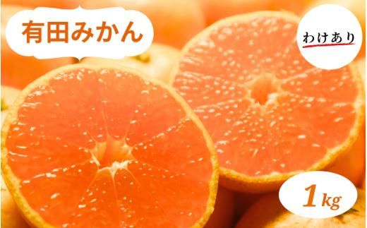 和歌山県産 有田みかん 1kg 訳あり ※2026年10月中旬～2027年1月中旬頃に順次発送予定【ミカン 有田みかん 和歌山 有田 訳あり】【smt002A】
