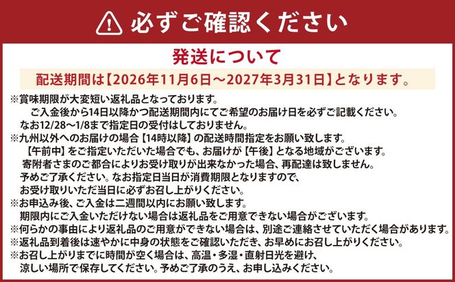 【指定日必須】天草産 活車海老 500g【発送期間2026年11月6日～2027年3月31日】ご入金後から14日以降かつ配送期間内にて、寄付フォームの応援メッセージ欄に必ず配送希望日を記載ください