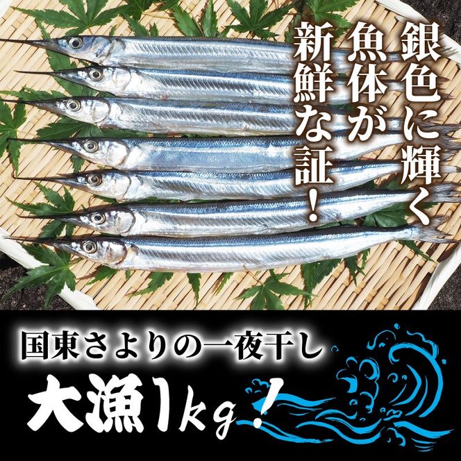 国東さよりの一夜干し/大漁1kg_1043R
