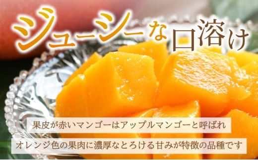 yꌧΊ_szy2026N6珇zIׂ鐔 2`3(1kg)/3`6(2kg) 2L`3L }S[ y Yn { t[c VN n }S[ Ί_  z