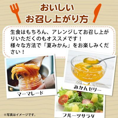 G7074_【2027年先行予約】湯浅産 夏みかん 7.2kg