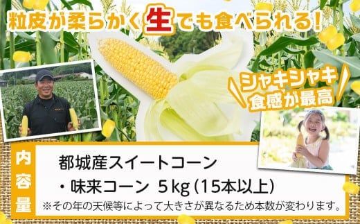 【先行受付】朝どれ!!都城産スイートコーン(味来コーン)5kg 15本以上_12-B401-6_(都城市) 朝どれ とうもろこし スイートコーン 5キロ 約15本以上 産地直送 みずみずしい あまい