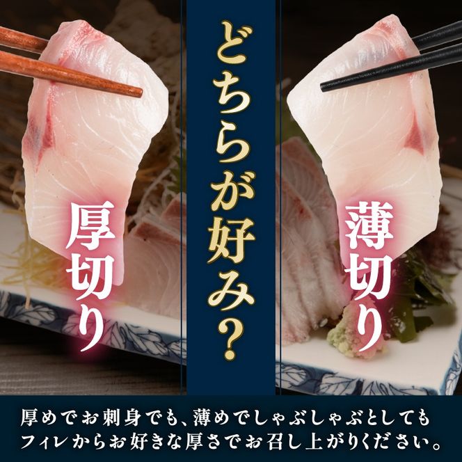 三陸産 カンパチ 刺身 1.4kg 新鮮 人気 高級 天然 三陸 魚 産地直送 かんぱち 勘八 しゃぶしゃぶ 鍋 照り焼き 刺し身 さしみ 生 冷凍 海鮮 魚介 国産 グルメ 急速冷凍 kanpati スキンレス フィレ ワンフローズン 岩手 大船渡 岩手県 大船渡市 [kouyou022]