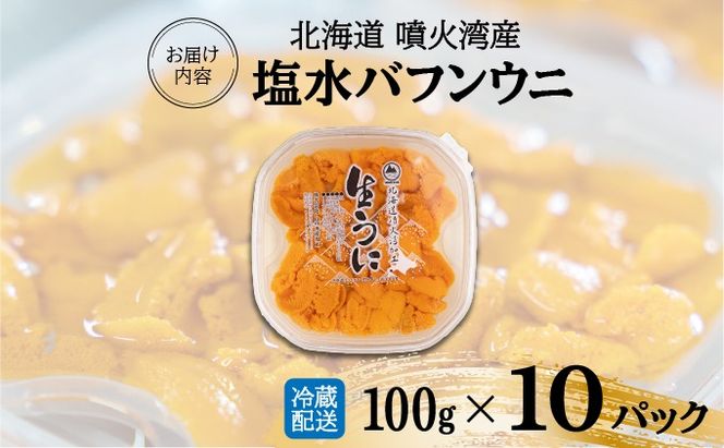 北海道 噴火湾産 塩水 バフンウニ 100g 10パック 計1kg うに ウニ 雲丹 海鮮 海の幸 魚介類 ウニ丼 お寿司 濃厚 無添加 産地直送 お取り寄せ 山村水産 送料無料 【55250875】