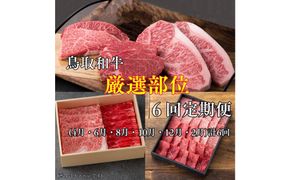 【6回定期便】鳥取和牛厳選部位　 313726_DC022