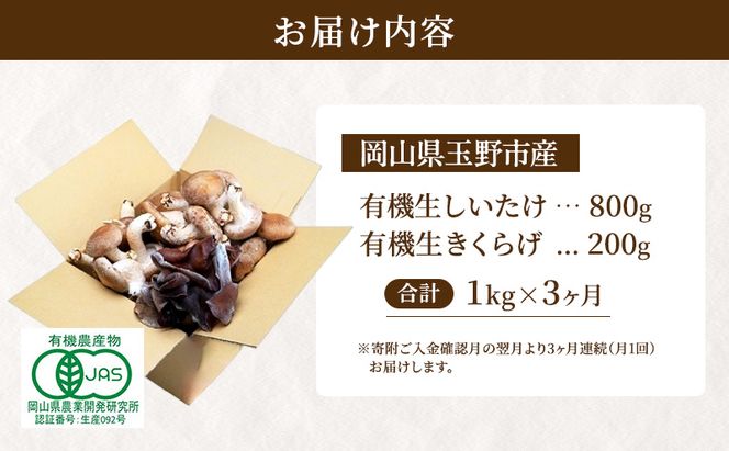 【 産地直送 】 有機JAS 生椎茸 800g ＆ 生きくらげ 200g 定期便 3ヶ月 オーガニック しいたけ 椎茸 きくらげ きのこ 野菜 岡山県 玉野市 栽培期間中化学肥料不使用 栽培期間中農薬不使用 野菜セット 
